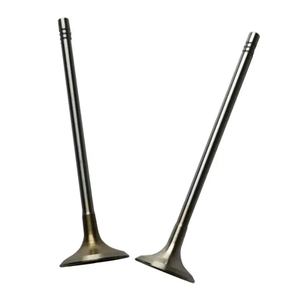 OE 0948 e8 0949 e2 valvole di aspirazione e scarico e punterie valvole per 1.6T <span class=keywords><strong>Peugeot</strong></span> <span class=keywords><strong>207</strong></span> <span class=keywords><strong>208</strong></span> 2008 308 3008 408 508 motore RCZ Citroen - Product Image 1