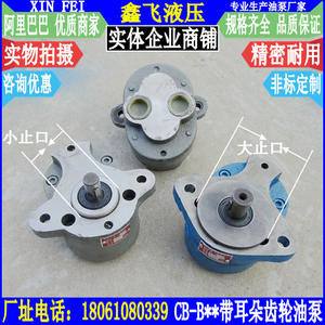 CBW-16202532LRB Gear <b>Oil</b> Pump Head for Engineering Machinery Special <b>Hydraulics</b> Pumps TCBW-B16B20B25B32 - Product Image 3