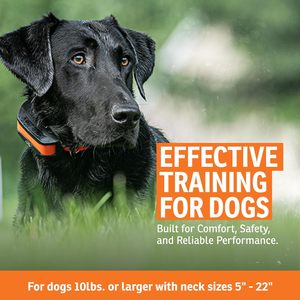 ระบบรั้วไฟฟ้าฝังพื้น SportDOG พร้อมปลอกคอแบบชาร์จได้ มีเสียงสั่นและไฟฟ้าสถิต อุปกรณ์ฝึกสัตว์เลี้ยง - Product Image 3