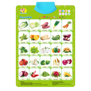 Affiches pédagogiques murales avec sons audio pour l'apprentissage scolaire – Plusieurs types disponibles – Offre spéciale - Product Image 4