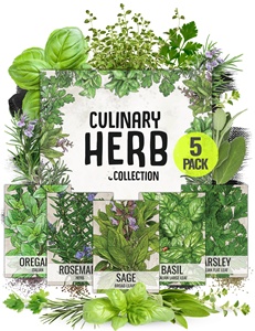 Collection de 5 sachets d'herbes non OGM non traitées pour pots suspendus et jardinières : Origano, <span class=keywords><strong>Basilic</strong></span>, Romarin, Sauge, Persil - Product Image 2