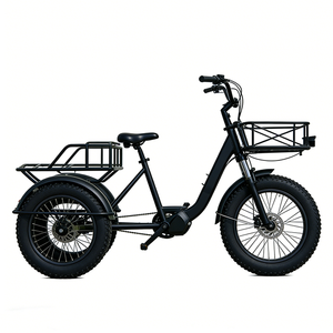Triciclo Elettrico Domestico a Doppio Uso con Pneumatici Larghi, <span class=keywords><strong>Bicicletta</strong></span> da Carico a Tre Ruote, Batteria al Litio 250W 36V, Freno a Disco, Cesto Grande - Product Image 3