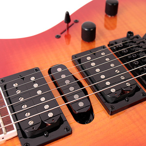 Guitare Bullfighter Floyd Rose Pickup Modèle B100 Manhogany Neck, utilisation professionnelle, guitare personnalisée - Product Image 5