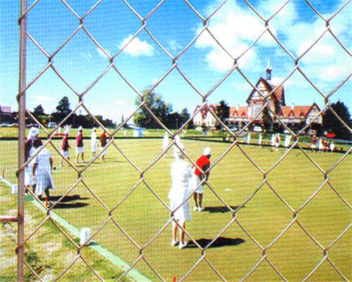 Football Field 2mm Plastic Coated Chain Mesh Fencing 5x5cm