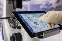 Microscopio Bioóptico Invertido Primovert con Enfoque Manual y Pantalla LED para Detección y Evaluación Rápida y Conveniente de Células Vivas