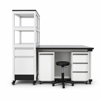 Solution clé en main pour le mobilier de laboratoire, banc de travail en acier moderne pour la recherche biologique universitaire