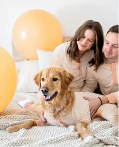Qiqu Pet Supplies Custom New Designer clothing Human Matching Cotton Hoodies Best Friend Dogs Gift for Italian greyhound whippet