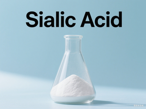 Natural Organic Chemical <strong>Swiftlet</strong> <strong>Bird</strong> <strong>Nest</strong> Extract Powder 98% N-Acetylneuraminic Acid 131-48-6 N-Acetylneuraminic Acid - Product Image 2