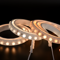 Bande optique LED haute efficacité 2835 48LED 20deg 30deg 45deg 60deg divers angles de faisceau IP67 rondelle murale flexible