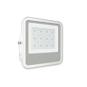LED Ceiling Light 80W 100W 120W 150W Explosion-proof Industrial Surface Mounting LED Light ATEX Approval