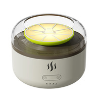 Fabricant de diffuseurs d'huiles essentielles, diffuseur d'arômes à lumière chaude 160 ml, minuterie à quatre niveaux, brume de 5 à 15 ml/h, OEM ODM Marque privée