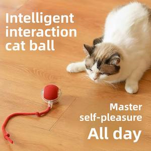 Nouveau jouet intelligent pour animaux de compagnie 360 ° corde interactive automatique jouets interactifs pour <span class=keywords><strong>chat</strong></span> avec chien balle intelligente jouet chargeur USB balle roulante pour chats - Product Image 4