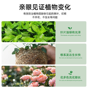 Ferrous Sulfate Fertilizer 500g Powder 99% Purity For Soil <b>Acidification</b> And Iron Supplementation - Product Image 3