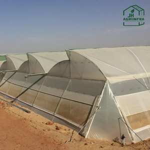 Serre polyvalente NVPH de 8 m de haute qualité, idéale pour l'agriculture protégée, l'environnement contrôlé et la culture de cultures rondes. - Product Image 3