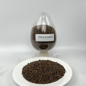 Cung cấp số lượng lớn 100% tinh khiết tự nhiên Trung Quốc tía tô HẠT GIỐNG - Product Image 4