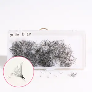 Individual Eyelashes Extension Premade Loose Fans 0.05 0.07 C D DD Fluffy Matte Black Korean PBT From Vietnam Supplies