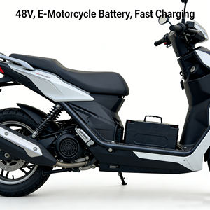 适用于两轮/三轮电动车的过充保护48V 30Ah磷酸铁锂电池组 - Product Image 5