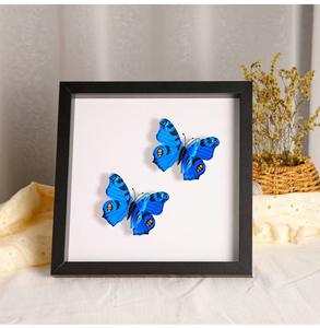 Cornici Fotografiche Stile Lettere di Carta con Passepartout e Cartoncino Interno per Arte e Oggetti da Collezione - Product Image 4