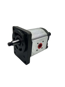 Bomba de aceite KP20 KP30 PLP PLM PLP30 PLP10 PLP20 PLM20, bomba de engranajes de alta presión, serie KP20/BC/20. 6.3-20, 1/21/21 - Product Image 3