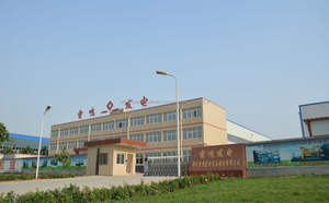 Generador diesel <span class=keywords><strong>Rayming</strong></span> Power 40kw/50Kva 3 fases bajo ruido silencioso generadores eléctricos insonorizados para la venta - Product Image 6