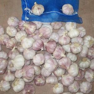Vente chaude d'ail blanc frais de Chine, prix de l'ail 1 kg à vendre au <span class=keywords><strong>Bénin</strong></span> et au Togo - Product Image 2