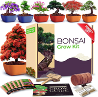 Kit de culture de plantes personnalisé avec outils différents emballages de fleurs de bonsaï créatif à faible coût excellente idée cadeau