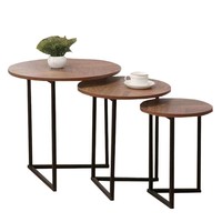 Table Basse Créative de Luxe Nordique, Plateau en Bois Massif Moderne, Multifonctionnelle pour Chambre, Salon, Canapé, Balcon