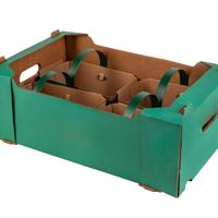 Verpakkingen van golfkarton voor fruit en groenten op maat, met handvat en dividers