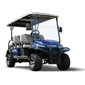 6 posti elettrico sollevato Golf Cart caccia auto con potente 5KW regolatore motore AC elettrico Golf Car