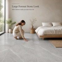 Carrelage en porcelaine de 10 mm d'épaisseur, 600x1200 mm, grain de pierre gris, finition mate, pour murs et sols