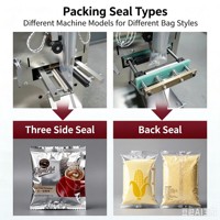 Machine d'emballage verticale entièrement automatique pour pâte de tomate, remplissage et scellage de liquides en sachets petits formats (avec moteur)