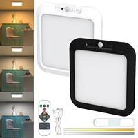 Lampe de placard rechargeable à détecteur de mouvement avec télécommande magnétique sans fil plafonniers pour placards douche garde-manger escaliers couloir