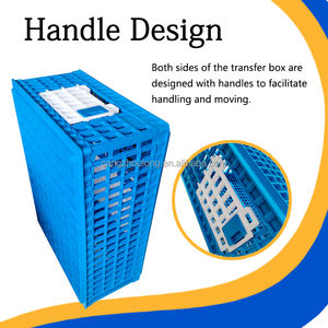 Haute qualité LMC-02 trois portes poulet bébé poussins coqs poule caisse de transport de volaille pour ferme avicole - Product Image 2