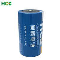 Batterie au lithium primaire HCB ER34615 3,6 V taille D haute capacité 19000 mAh pour compteurs d'eau/gaz/de débit intelligents et télécommandes