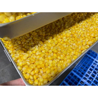 Machine de lyophilisation rotative à commande PLC automatique HRTY pour fruits et légumes