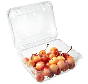 Grosir wadah plastik sekali pakai transparan untuk kotak makanan buah dengan kompartemen