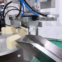Petite table top 5 têtes bande monodose ampoule à dose unique bande plastique tube composite remplissage machine à sceller