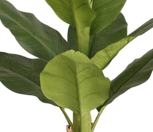 <span class=keywords><strong>Bananier</strong></span> artificiel de 86cm en plastique de haute qualité pour décoration de jardin intérieur/extérieur, fait à la main, UV - Product Image 2