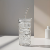 Gobelet en verre de 450 ml au design moderne, avec bouchon à paille, réutilisable, portable, unisexe, sans BPA, anti-fuite, sûr pour les aliments, vente en gros