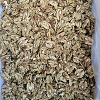 Vente en gros usine : Noyaux de noix douces bio de qualité supérieure, tranchés, grade export, fruits secs et noix, snacks
