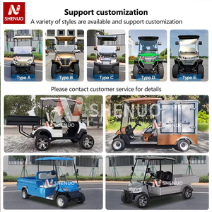 Voiturette de <span class=keywords><strong>golf</strong></span> haute performance à <span class=keywords><strong>crémaillère</strong></span>, électrique au lithium, 2 places, avec congélateur, de luxe, pour complexes hôteliers et hôtels - Product Image 6