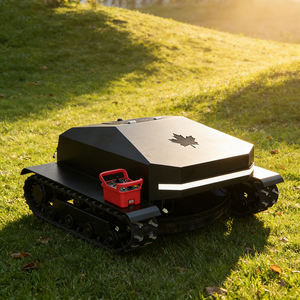 送料無料 野草刈機 ユーロ5 EPA 自動 ミニリモコン芝刈り機 販売中 - Product Image 2