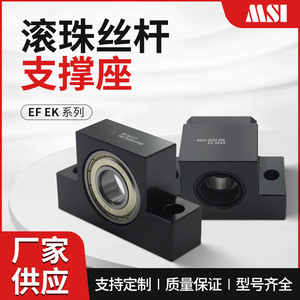Support de vis à billes MSI EF6 8 10 12 15 17 20 25 pour applications de vis mère - Product Image 5
