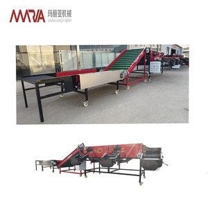 Máquina Separadora de Cebollas y Papas <span class=keywords><strong>MARIA</strong></span> de 4 Ton/<span class=keywords><strong>H</strong></span> con Motor, Clasificación de Tamaño, Alta Eficiencia, Potencia de 5.27-10.63KW - Product Image 6