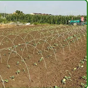 ไฟเบอร์กลาสต้นไม้เต็นท์เสาสวน Rod มะเขือเทศเนอสเซอรี่เดิมพันพืชสนับสนุนเดิมพันรั้วโพสต์ - Product Image 2