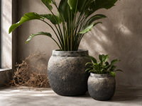 Ensemble de pots à fleurs en GRC écologiques faits à la main, résistants aux intempéries, jardinières rondes en béton vieilli pour la décoration intérieure et extérieure