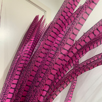 Plumes de faisan Lady Amherst artificielles de haute qualité, plusieurs tailles, plumes artificielles colorées pour costumes de scène, décoration de la maison