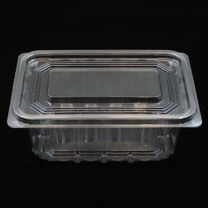 Kotak Makanan Plastik Transparan Persegi Panjang dengan Tutup untuk Sushi, Kue Kering, Kue, & Hewan Peliharaan - Product Image 2