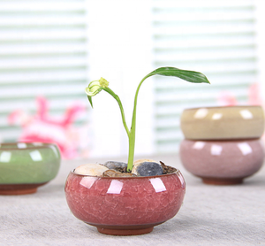 Maceta <span class=keywords><strong>de</strong></span> Cerámica Miniatura con Orificio <span class=keywords><strong>de</strong></span> Drenaje, Maceta <span class=keywords><strong>de</strong></span> Cerámica con Diseño <span class=keywords><strong>de</strong></span> Grietas <span class=keywords><strong>de</strong></span> Hielo para Decoración del Hogar u Oficina - Product Image 2