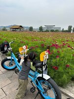 Vélo tandem rétro de style Harley de 20 pouces, vélo de plage à deux places, style Prince, vélo tendance pour les trajets quotidiens